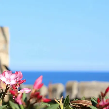 Casa Palma *